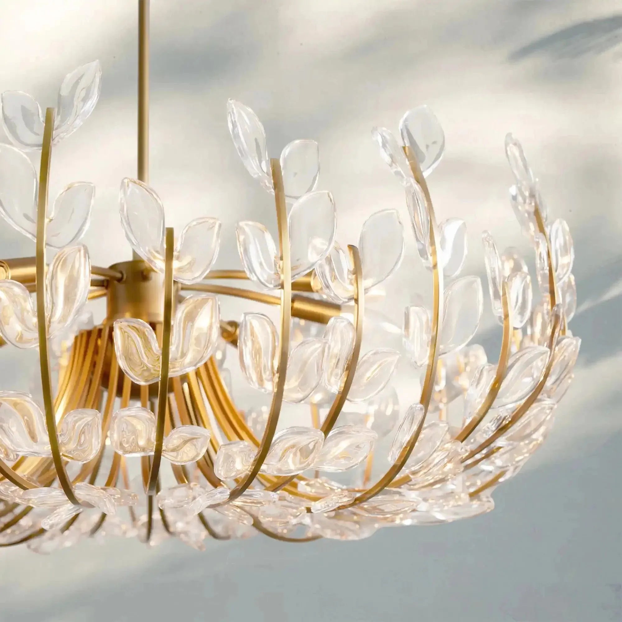 Adela 6/8 Lights Chandelier-Blushlighting