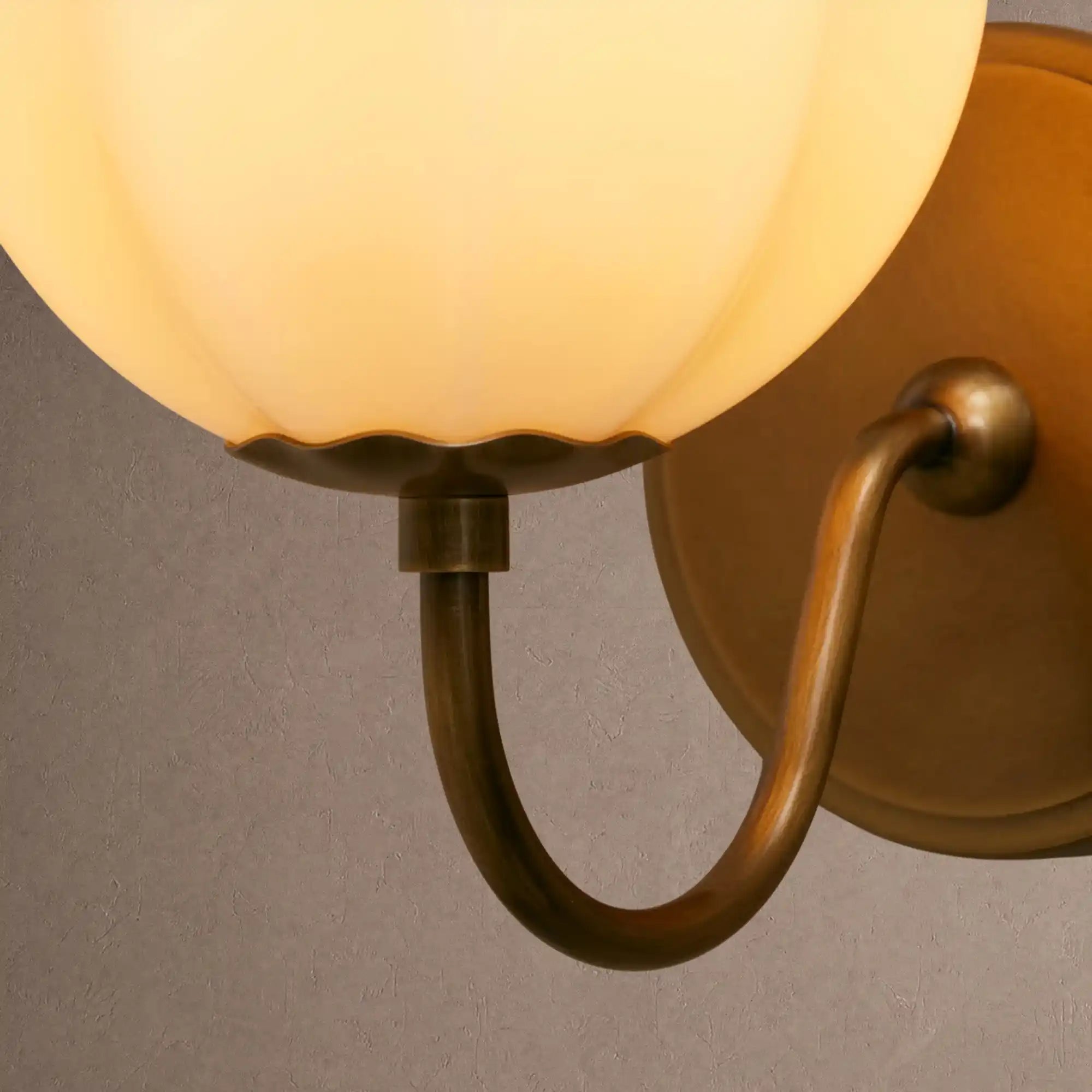 Agnes Gooseneck Sconce - Blushlighting