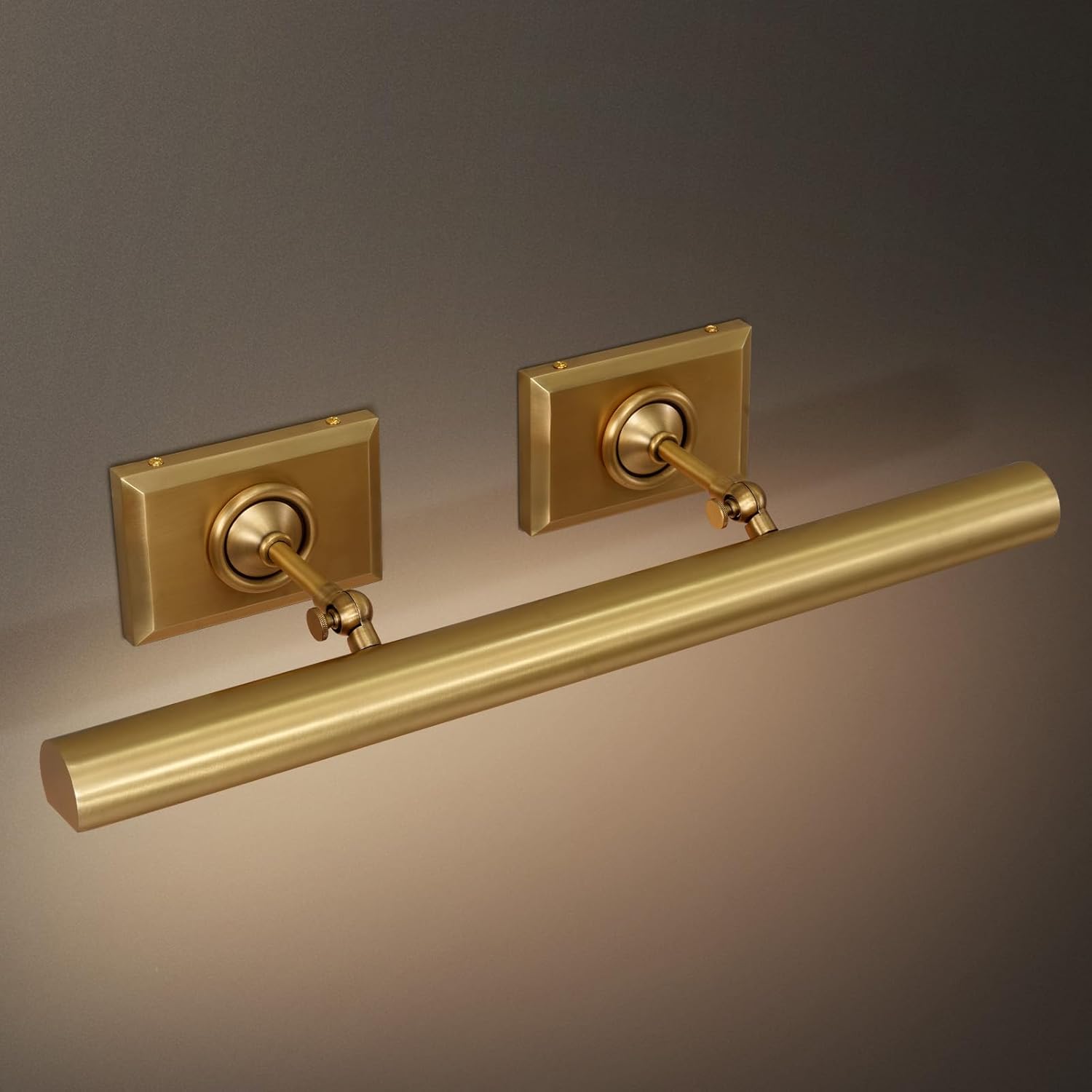 Anite Picture Light - Antique Brass24″ WBlushlighting