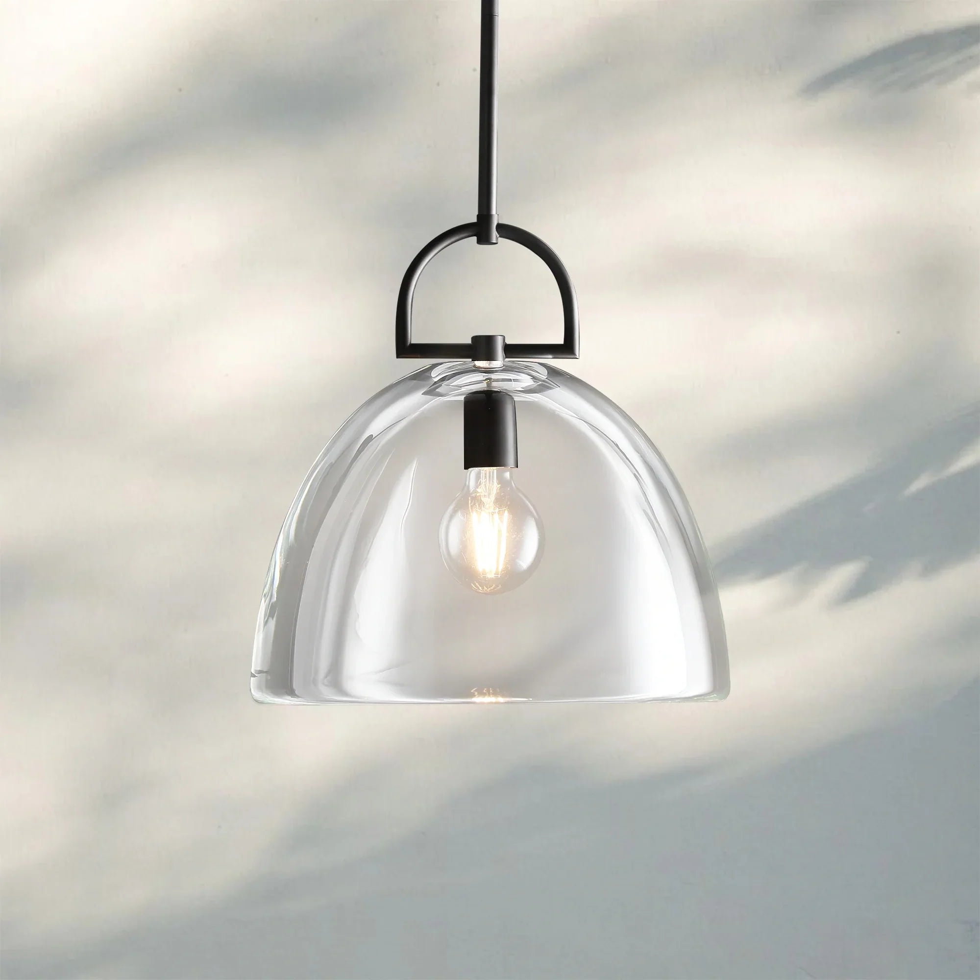 Botany Glass Dome Pendant 10″ 14″ 18″-10''-Matte Black-