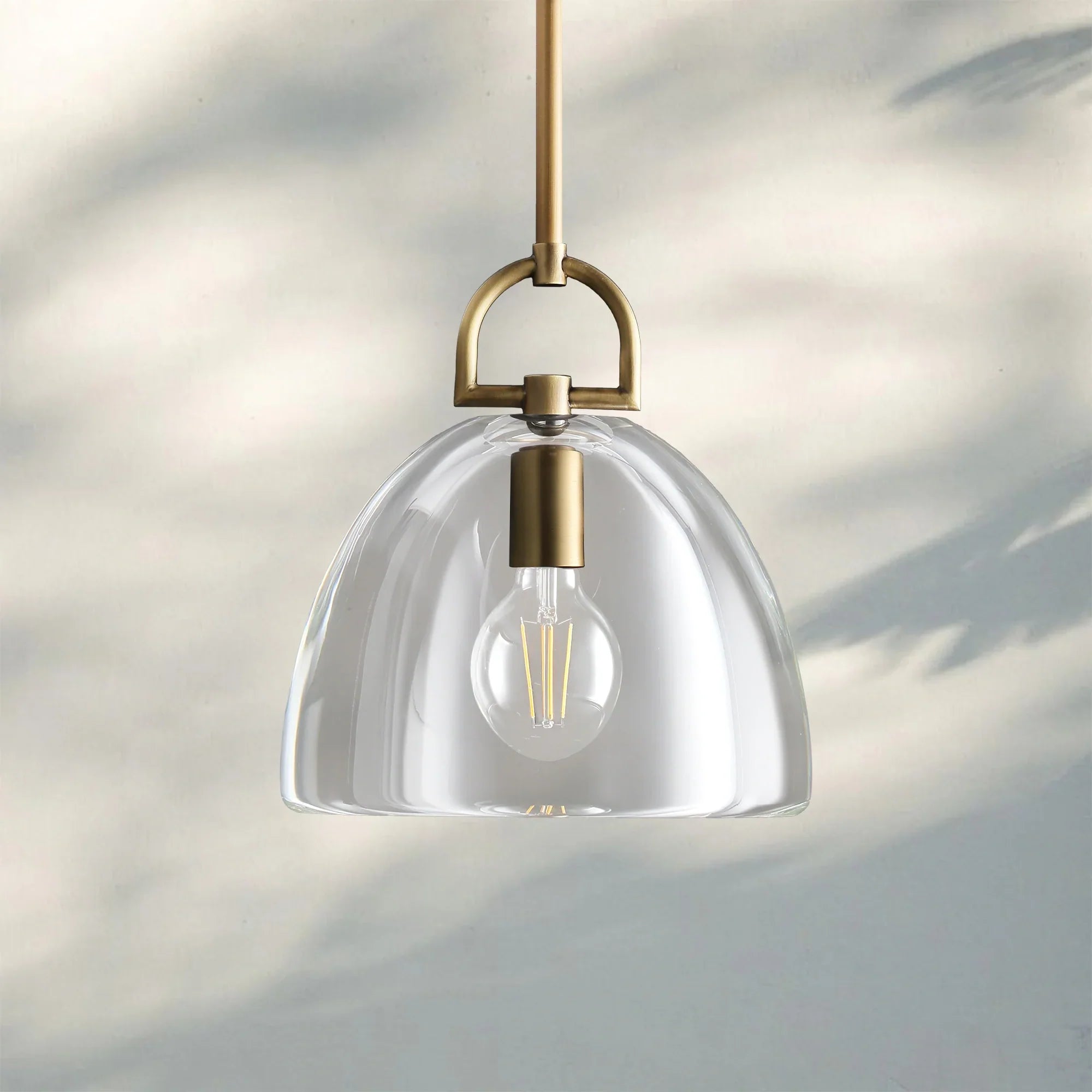 Botany Glass Dome Pendant 10″ 14″ 18″-