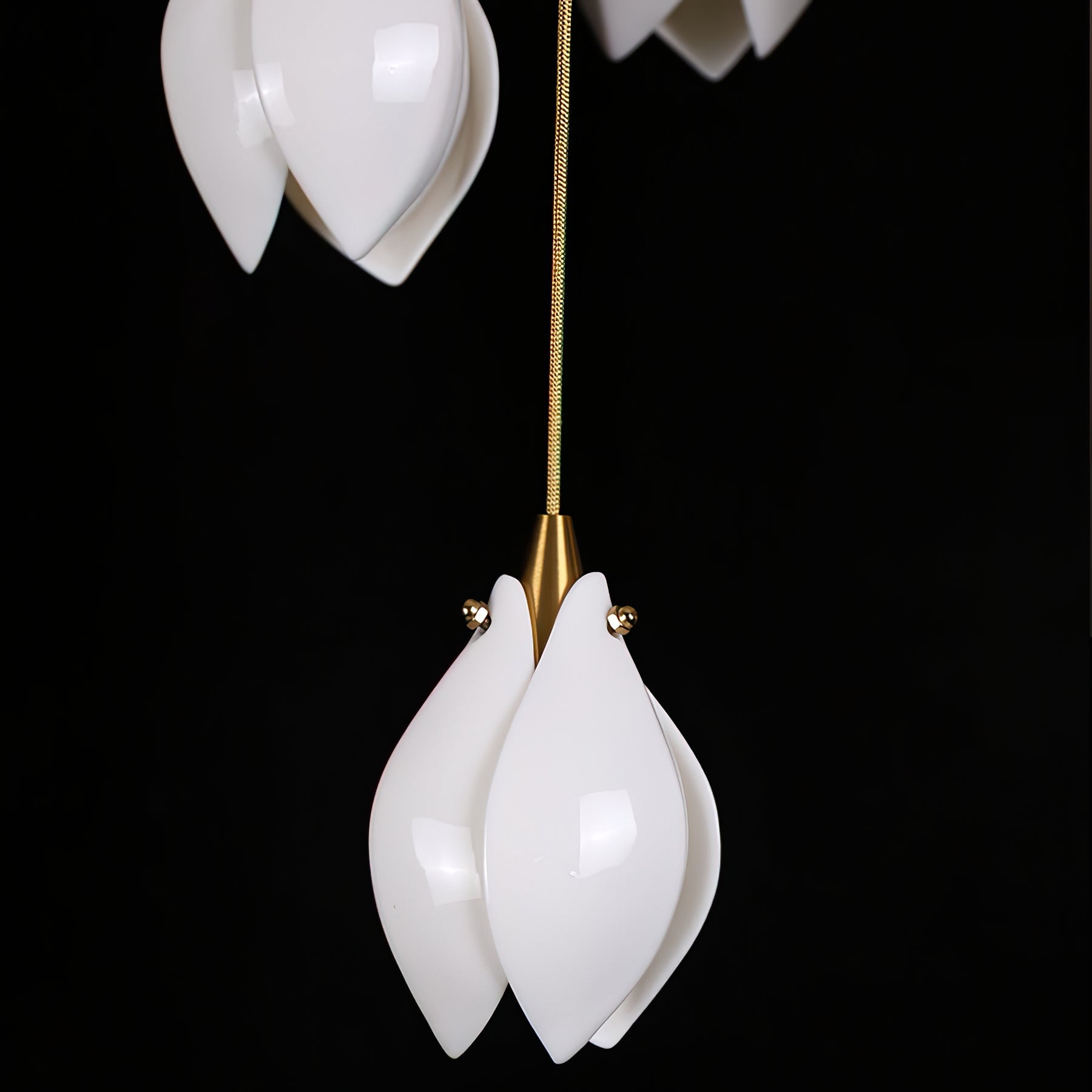 Celeste Flora Pendant Light - 1 head Round Canopy ∅ 4.7″Small ∅ 4.7″ x H 7.9″Brass & WhiteBlushlighting