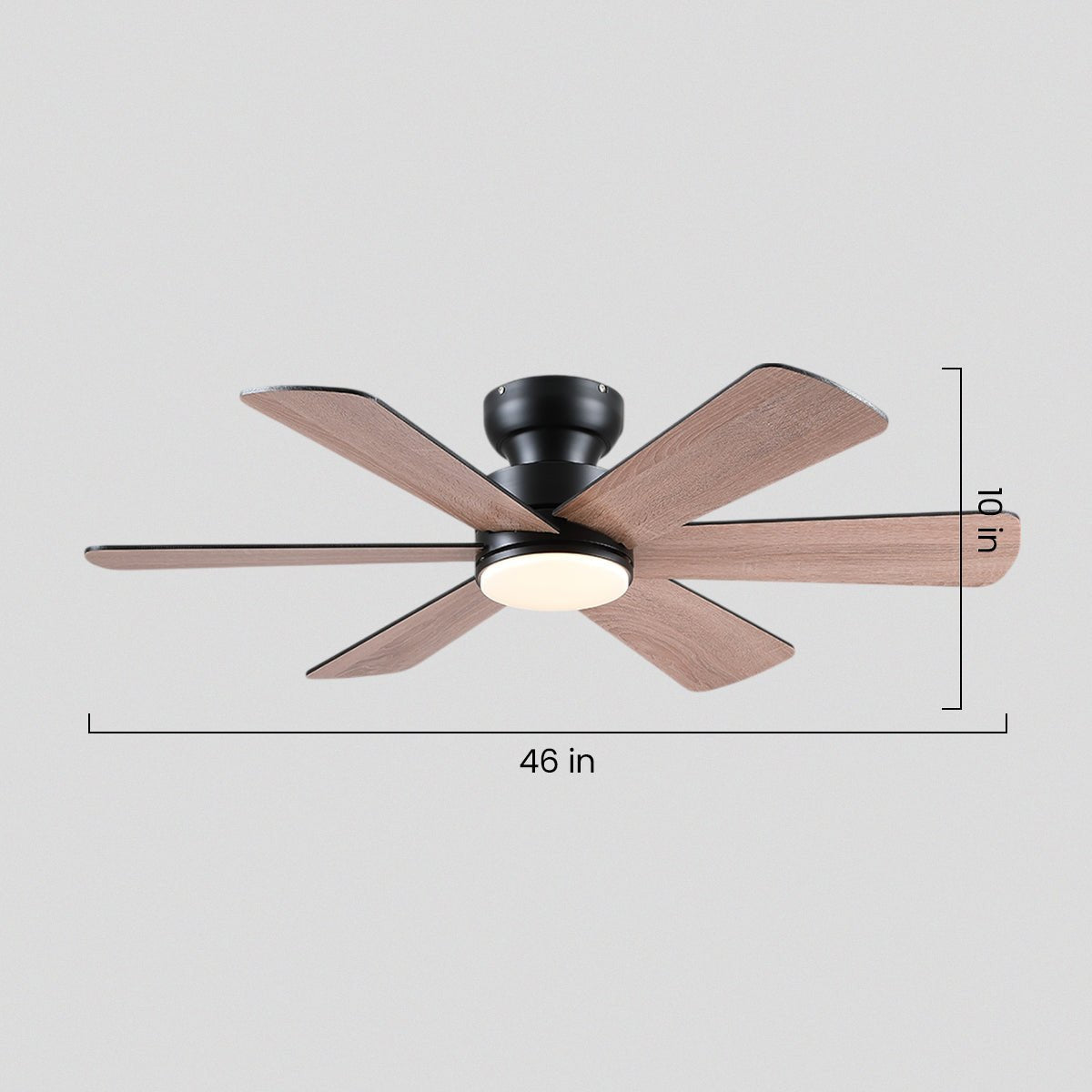 Celestial Wind Ceiling Fans with Lights - BlackBlushlighting