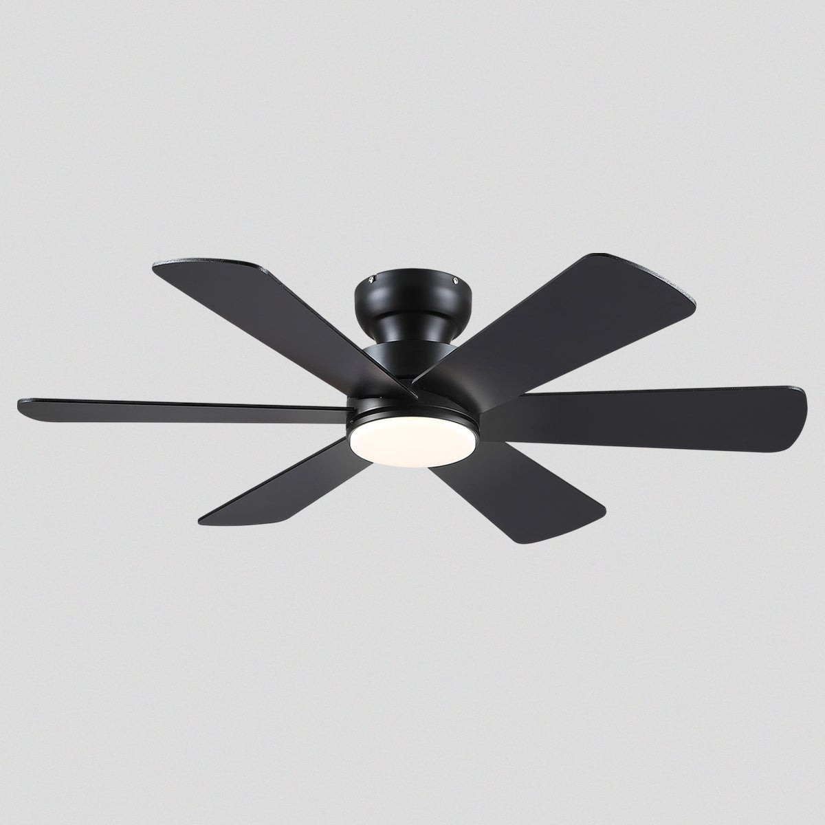 Celestial Wind Ceiling Fans with Lights - BlackBlushlighting