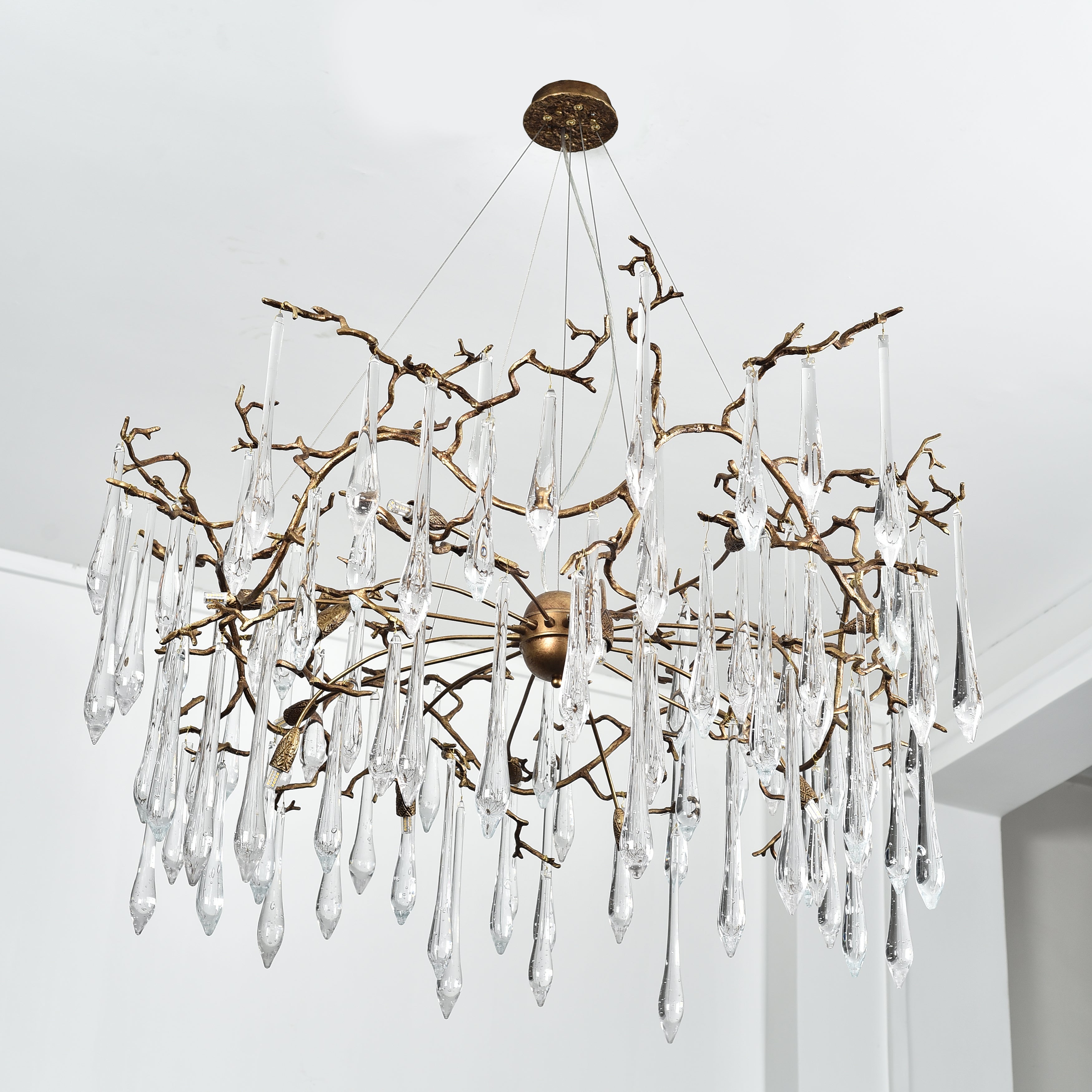 Dawn Teardrop Branch Brass Round Chandelier - 26" diameterClear GlassBlushlighting