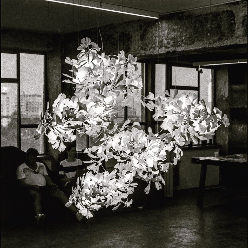 Gingko Leaves Chandelier - L 196.8″ x W 31.5″ x H 59.1″White & GoldBlushlighting