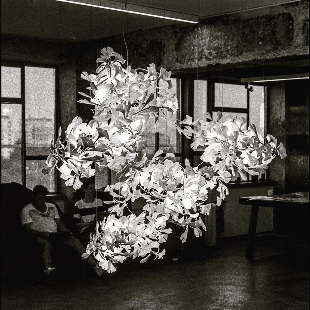 Gingko Leaves Chandelier - L 196.8″ x W 31.5″ x H 59.1″White & GoldBlushlighting