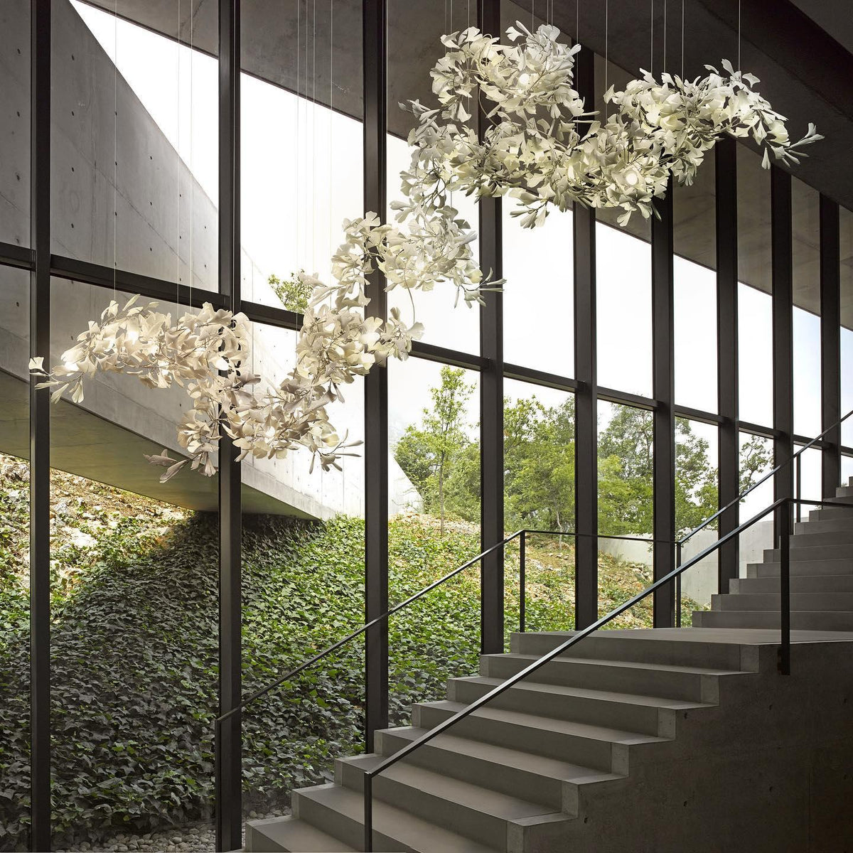 Gingko Leaves Chandelier - L 196.8″ x W 31.5″ x H 59.1″White & GoldBlushlighting