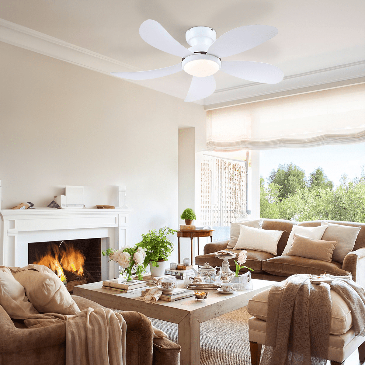 Graceshire contemporary ceiling fan - Blushlighting