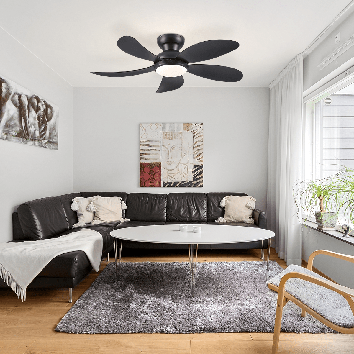 Graceshire contemporary ceiling fan - brownBlushlighting