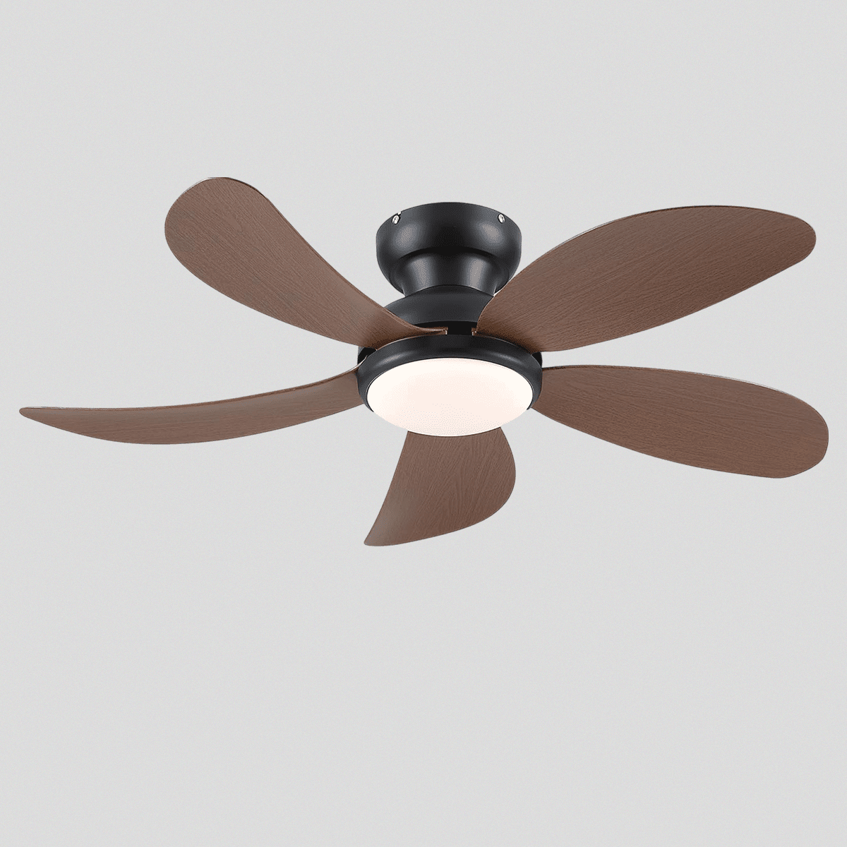 Graceshire contemporary ceiling fan - brownBlushlighting