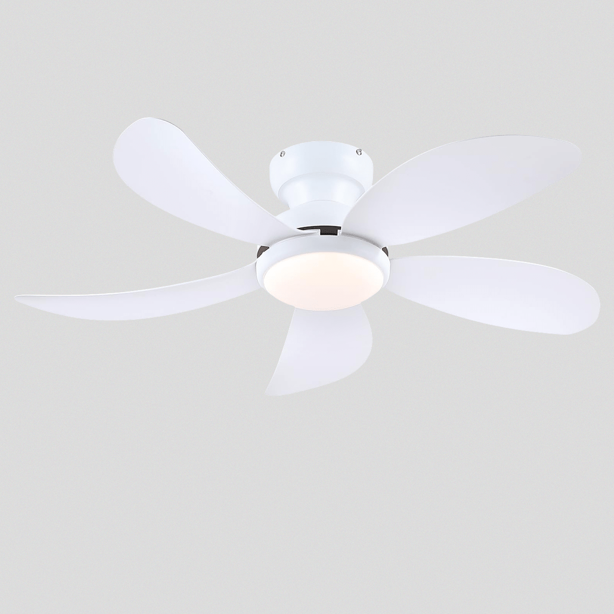 Graceshire contemporary ceiling fan - Blushlighting