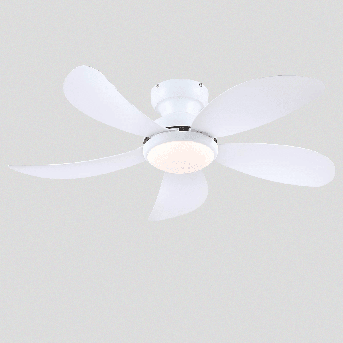Graceshire contemporary ceiling fan - whiteBlushlighting