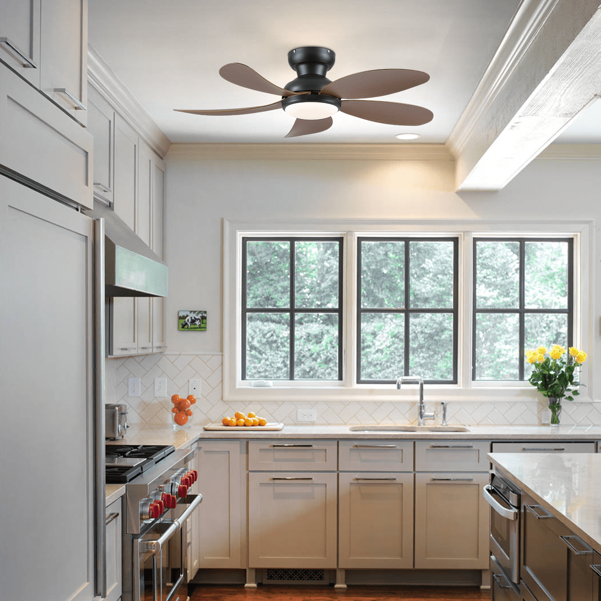 Graceshire contemporary ceiling fan - blackBlushlighting