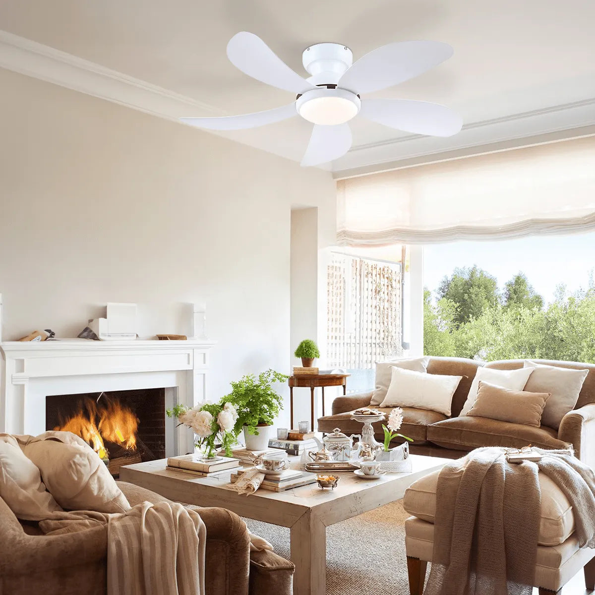 Graceshire contemporary ceiling fan - Blushlighting