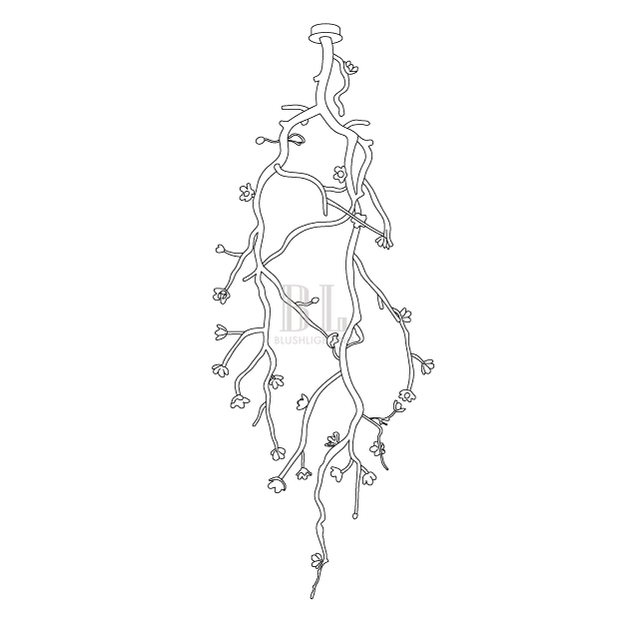 Large Long Branch Flower Chandelier - L 53.1″ x H 129.9″ / L 135cm x H 330cmBrass stained blackBlushlighting