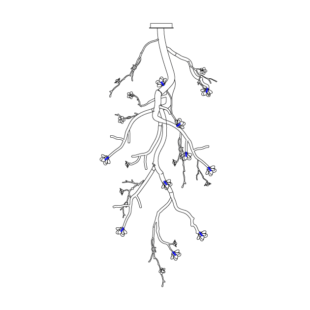 Large Long Branch Flower Chandelier - L 53.1″ x H 129.9″ / L 135cm x H 330cmBrass stained blackBlushlighting