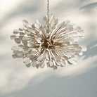 Lunaria Chandelier-Blushlighting