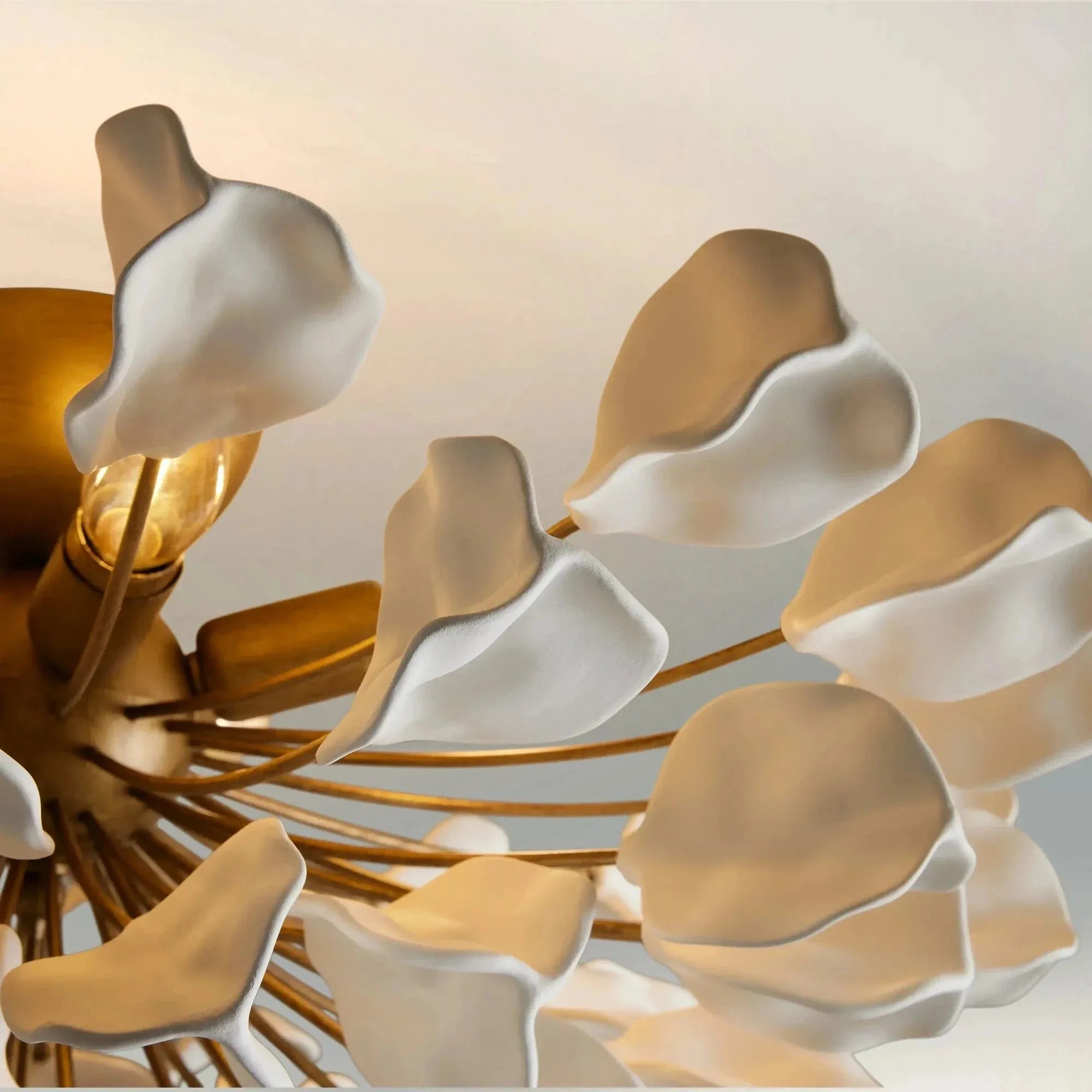 Lunaria Flush Mount - Bronze / EbonyBlushlighting