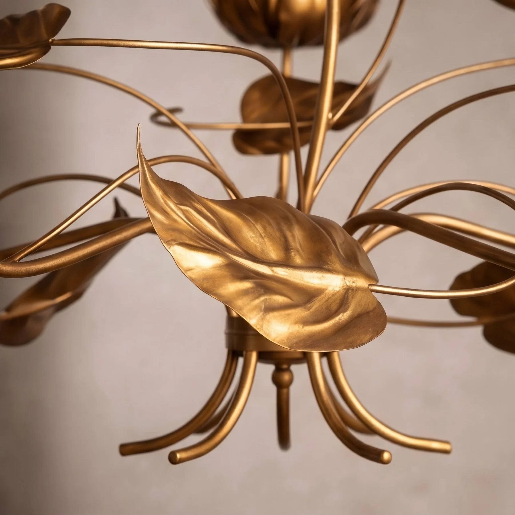 Ninfea Chandelier - 49"Blushlighting