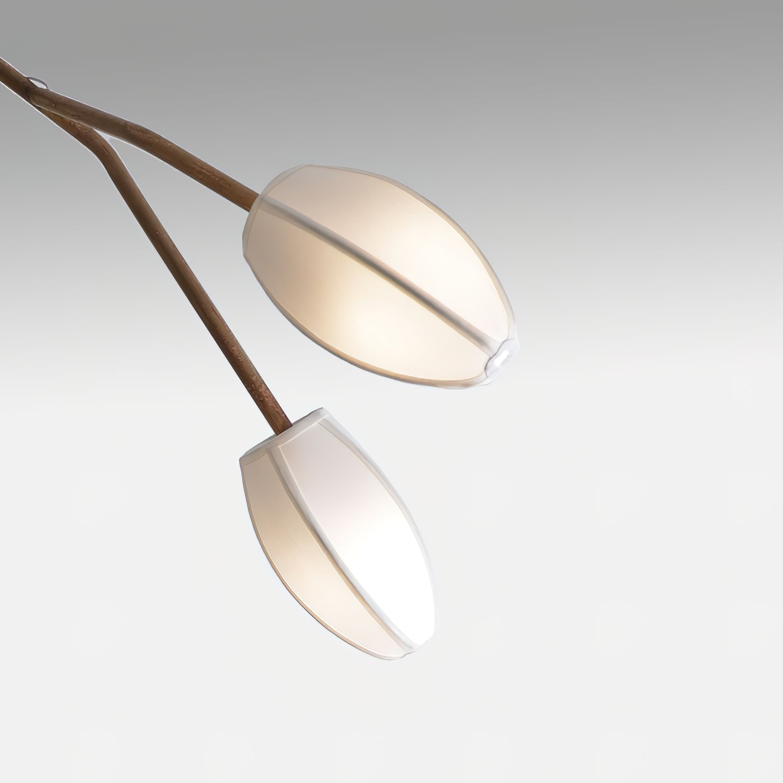 Sacura Chandelier - 6 lights L 49.2″ x W 39.4″ x H 43.3″Brass & WhiteBlushlighting