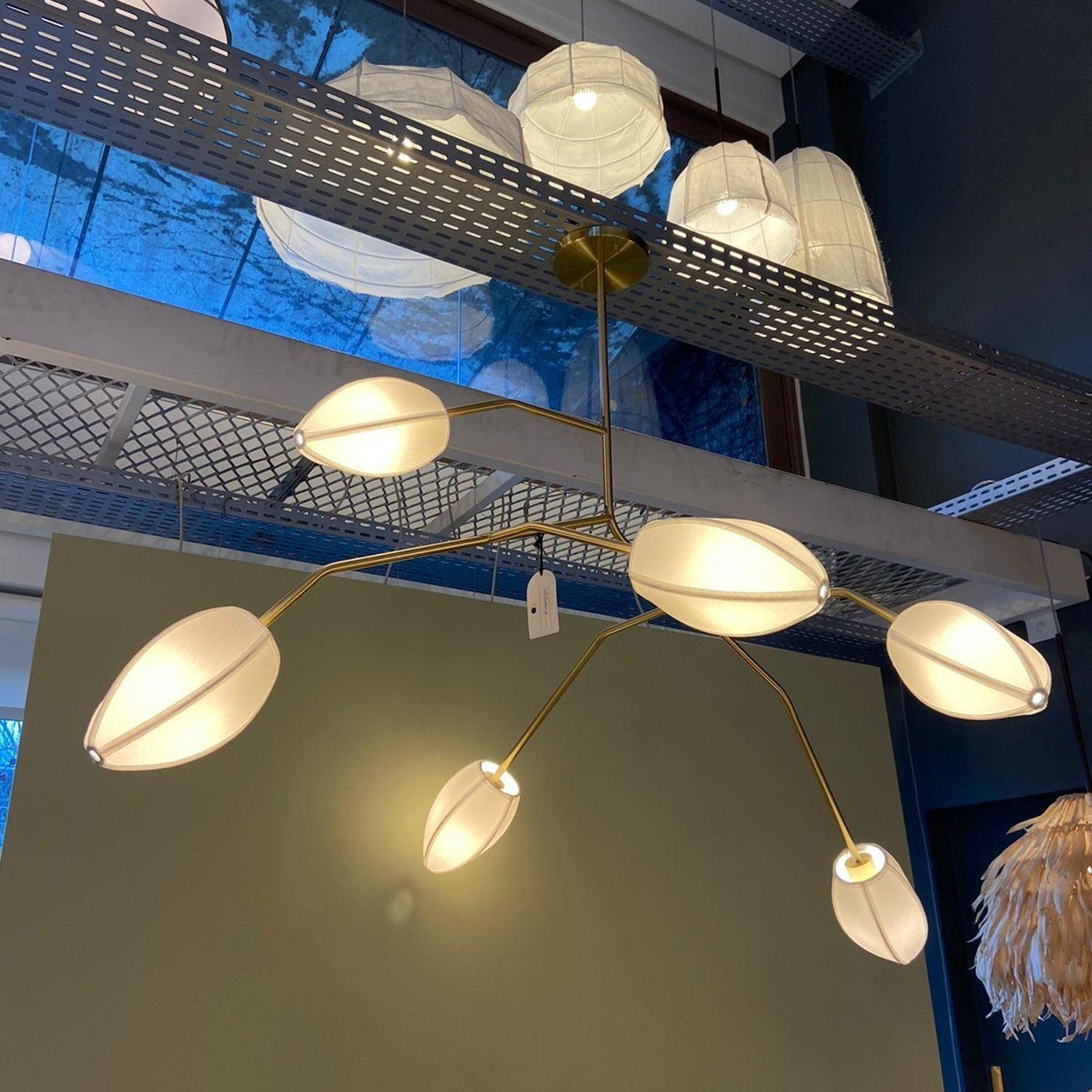 Sacura Chandelier - 6 lights L 49.2″ x W 39.4″ x H 43.3″Brass & WhiteBlushlighting