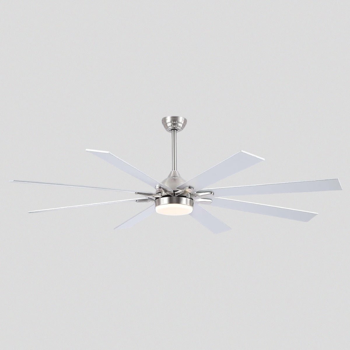Ventora Fans with Lights - Blushlighting