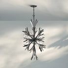 Aurora Medium Orb Chandelier-Brushed Graphite-Blushlighting