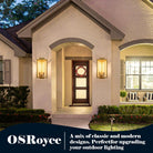 21" Gold Outdoor Wall Sconce with Glass Shade, Waterproof - 21" - Gold - 1packBlushlighting