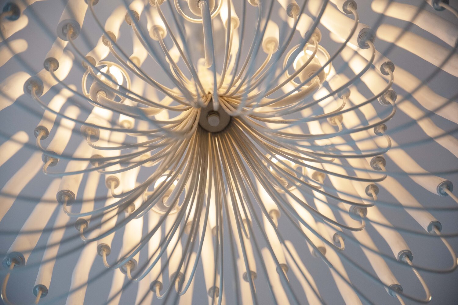 5/6 - Light Modern Branch Modeling Chandelier in White or Black for Stylish Interiors - 5 Lights / D21"*H29"WhiteWarm LightBlushlighting