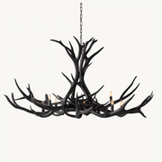 Mule Deer Antler 8 Light Chandelier