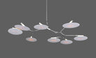 9 - light Branching Disc Flush mount - Brushed Brass / Porcelain - Blushlighting