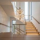 Palmera Brass Crystal Chandelier by Blushlighting