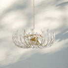 Adela 6/8 Lights Chandelier - Blushlighting