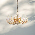 Adela 6/8 Lights Chandelier - Blushlighting