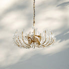 Adela 6/8 Lights Chandelier - Blushlighting
