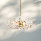 Adela 6/8 Lights Chandelier - Blushlighting