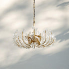 Adela 6/8 Lights Chandelier-Blushlighting
