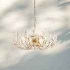 Adela 6/8 Lights Chandelier-Blushlighting