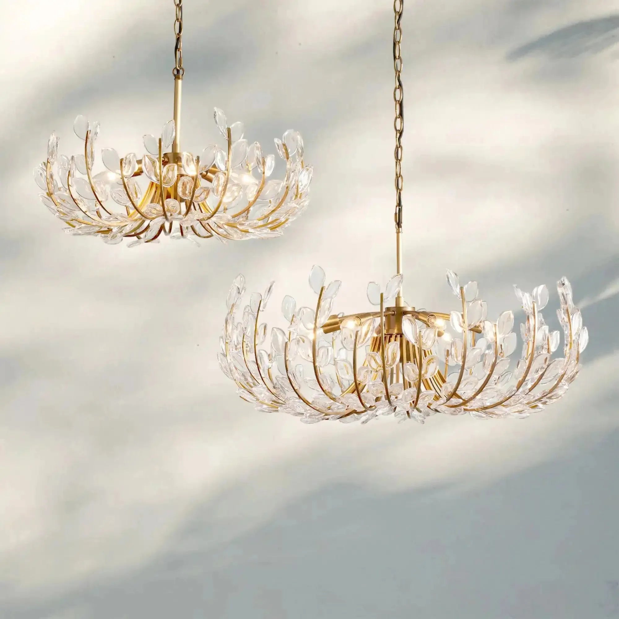 Adela 6/8 Lights Chandelier-Blushlighting