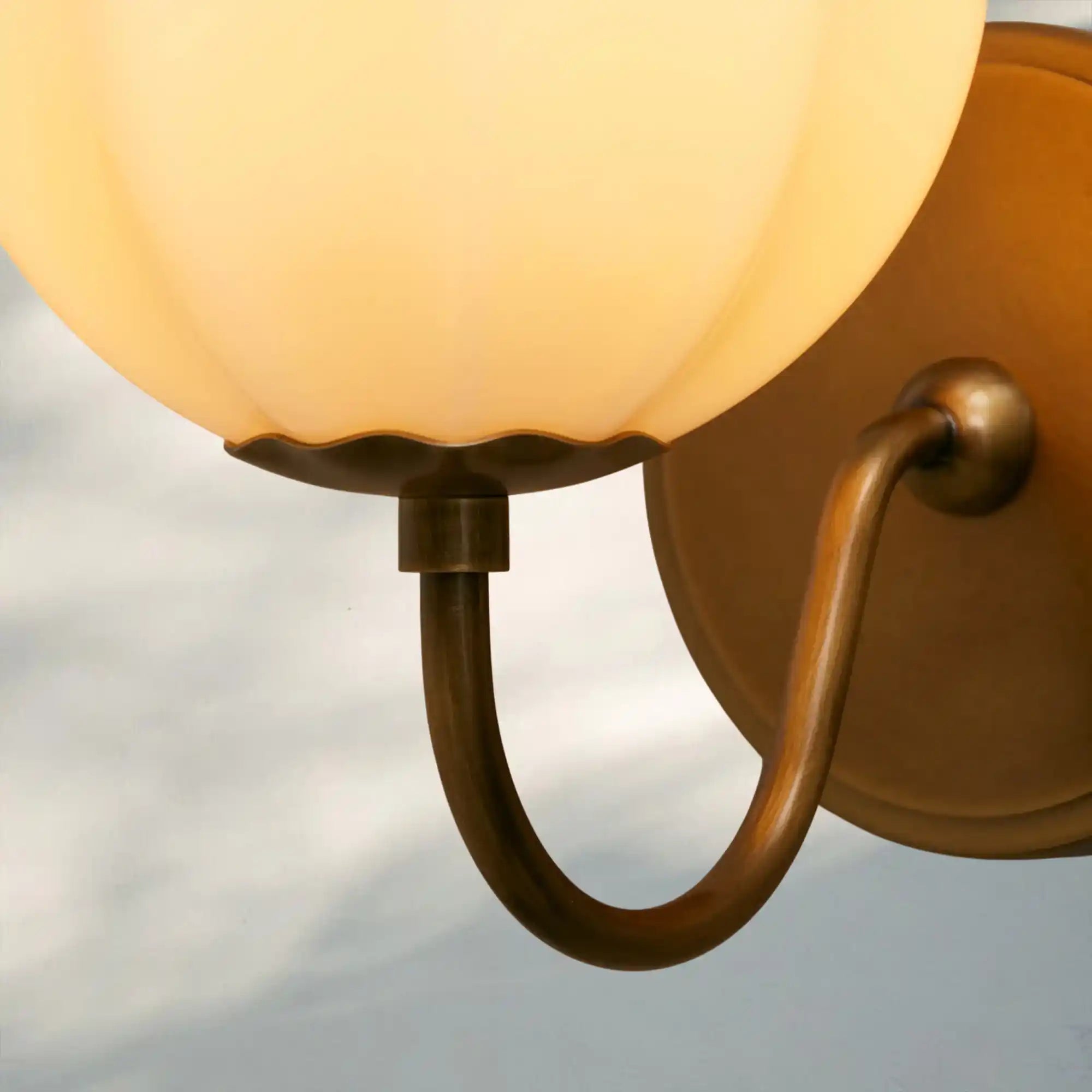 Agnes Gooseneck Sconce - Blushlighting