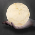 Alabaster Ceiling Pendant - 7 HEADS D 40CM X H 200CM / ∅ 15.7″ X H 78.7″Blushlighting