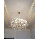 Allumage Extra Wide Classic Crystal Chandelier - 24" Width x 22" Height 6 LightsGoldClear CrystalBlushlighting