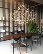 Amos Light Group Chandelier - Φ 31.5″ x H 31.5″ / Dia 80cm x H 80cmChromeWarm LightBlushlighting