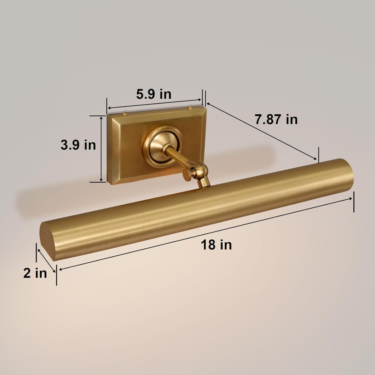 Anite Picture Light - Antique Brass18″ WBlushlighting