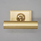 Anite Picture Light - Antique Brass8" WBlushlighting