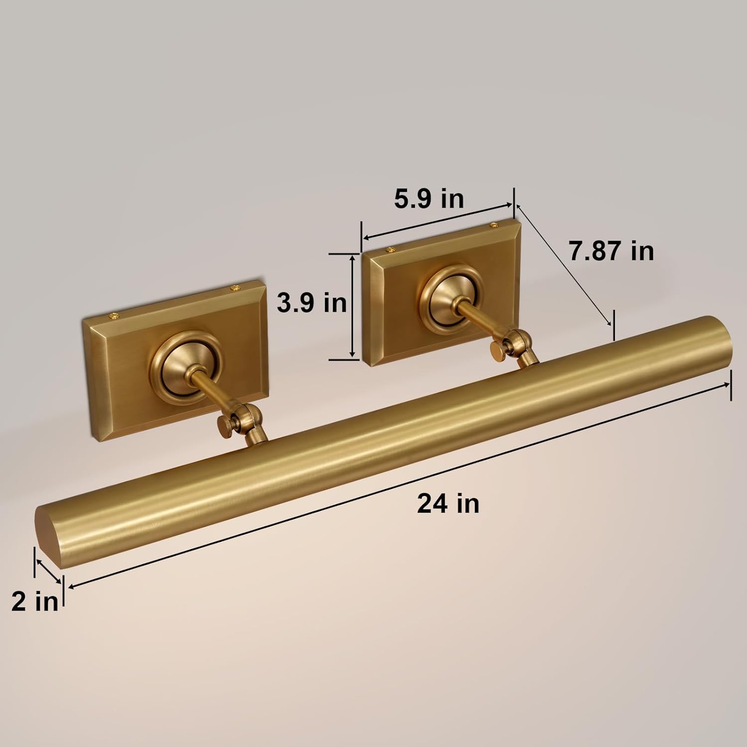 Anite Picture Light - Antique Brass24″ WBlushlighting
