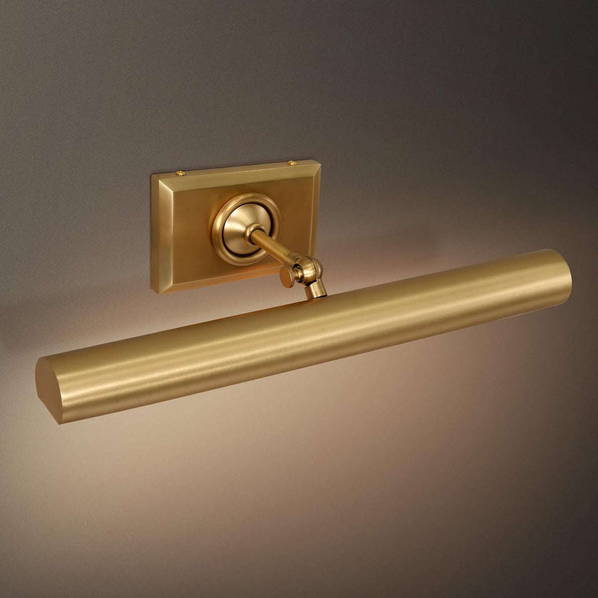 Anite Picture Light - Antique Brass18″ WBlushlighting
