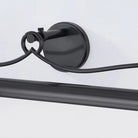 Art Sernu Picture Light - Bronze20''Blushlighting