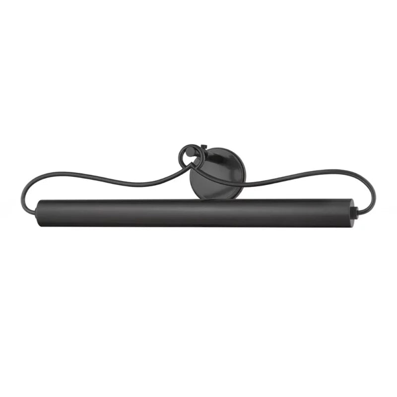 Art Sernu Picture Light - Bronze20''Blushlighting
